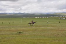 Nadaam in Ulaanbaatar, Shudlen (Rennen der 3-jährigen) in Khui Doloon Hudag Zu den Nomaden der Westmongolei, Mongolei, 09.07. - 30.07.2016
