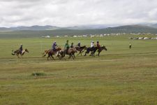 Nadaam in Ulaanbaatar, Shudlen (Rennen der 3-jährigen) in Khui Doloon Hudag Zu den Nomaden der Westmongolei, Mongolei, 09.07. - 30.07.2016