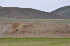 Zu den Nomaden der Westmongolei, Mongolei, 09.07. - 30.07.2016