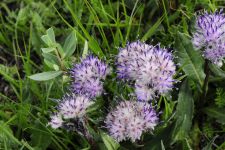 Zu den Nomaden der Westmongolei, Mongolei, 09.07. - 30.07.2016