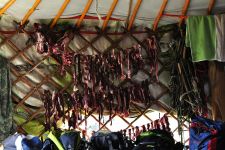 Zu den Nomaden der Westmongolei, Mongolei, 09.07. - 30.07.2016