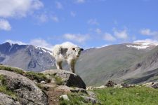 Zu den Nomaden der Westmongolei, Mongolei, 09.07. - 30.07.2016