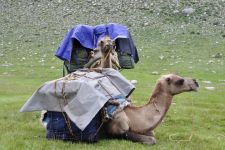 Zu den Nomaden der Westmongolei, Mongolei, 09.07. - 30.07.2016