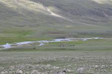 Zu den Nomaden der Westmongolei, Mongolei, 09.07. - 30.07.2016