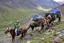Zu den Nomaden der Westmongolei, Mongolei, 09.07. - 30.07.2016