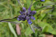 Zu den Nomaden der Westmongolei, Mongolei, 09.07. - 30.07.2016