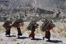 Nepal | Dolpo, 10.09. - 01.10.2016