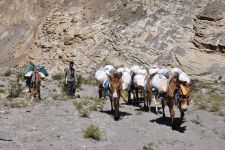 Nepal | Dolpo, 10.09. - 01.10.2016