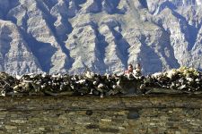 Nepal | Dolpo, 10.09. - 01.10.2016