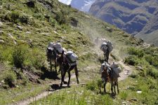 Nepal | Dolpo, 10.09. - 01.10.2016