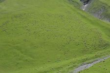 Georgien, 06.07 - 20.07.2017