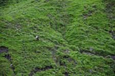 Georgien, 06.07 - 20.07.2017