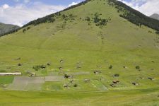 Georgien, 06.07 - 20.07.2017