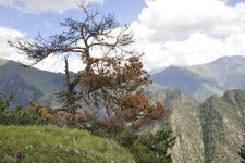 Georgien, 06.07 - 20.07.2017