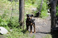 Georgien, 06.07 - 20.07.2017