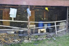 Georgien, 06.07 - 20.07.2017