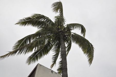 La Reunion, 07.10 - 19.10.2017