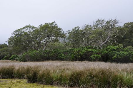 La Reunion, 07.10 - 19.10.2017