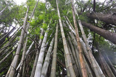 La Reunion, 07.10 - 19.10.2017