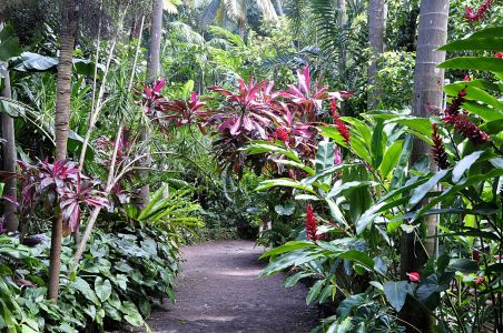 La Reunion, 07.10 - 19.10.2017
