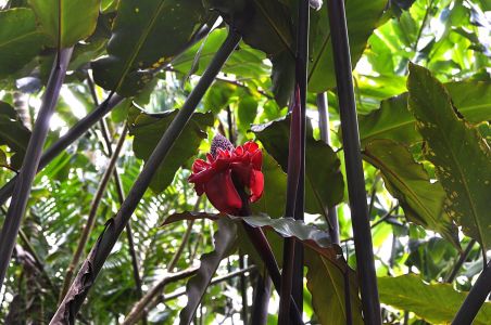 La Reunion, 07.10 - 19.10.2017