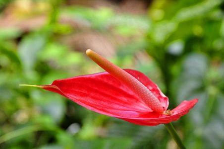 La Reunion, 07.10 - 19.10.2017