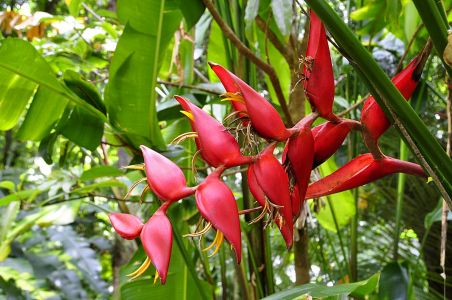 La Reunion, 07.10 - 19.10.2017