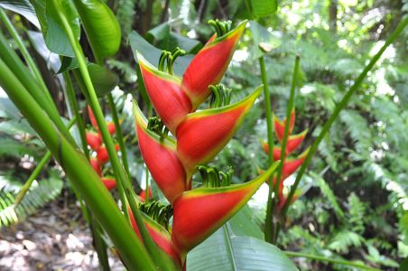La Reunion, 07.10 - 19.10.2017