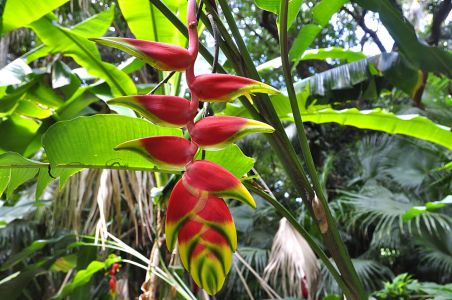 La Reunion, 07.10 - 19.10.2017
