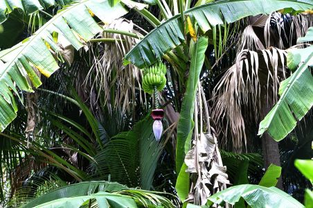 La Reunion, 07.10 - 19.10.2017