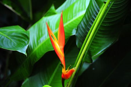 La Reunion, 07.10 - 19.10.2017