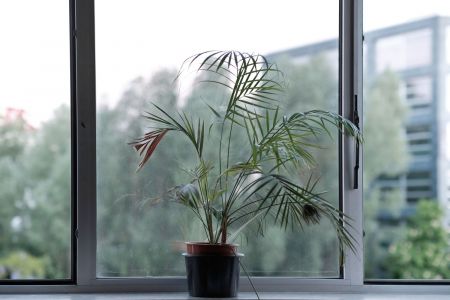  Birgit Ulher, Sabine Ercklentz, Nic Collins, Alexander Markvart / Petersburg Art Space