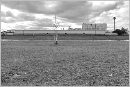 vom Neckarufer nach Mühlauhafen