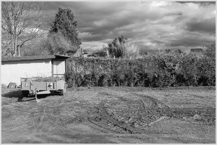 Kleingärtner Verein Friesenheimer Insel e.V.