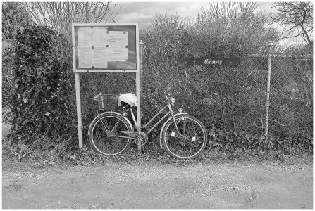 Kleingärtner Verein Friesenheimer Insel e.V.