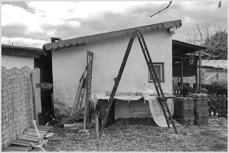 Kleingärtner Verein Friesenheimer Insel e.V.