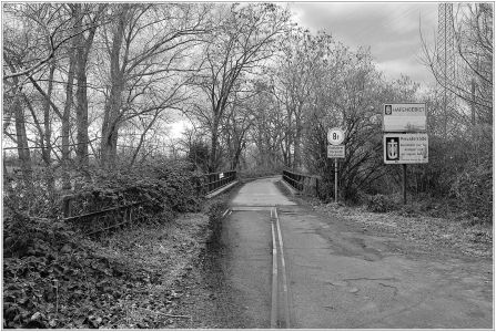 zur Kopflache am Friesenheimer Altrhein