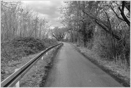 Kopflache am Friesenheimer Altrhein