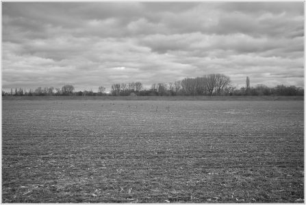 Sandhofen/Ballauf-Wilhelmswörth