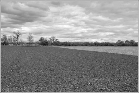 Sandhofen/Ballauf-Wilhelmswörth