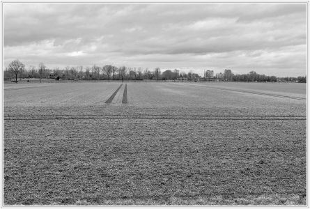 Sandhofen/Ballauf-Wilhelmswörth