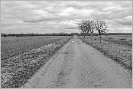 Sandhofen - An der Landesgrenze