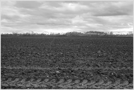 Sandhofen - Kirschgartshäuser Schläge