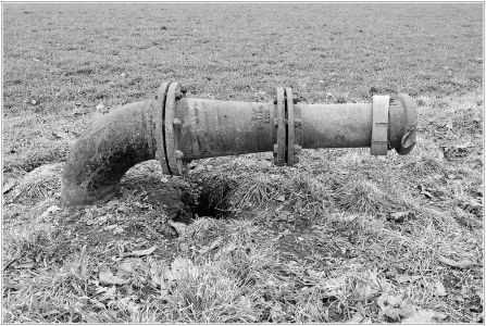 Sandhofen - An der Landesgrenze