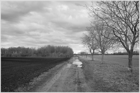 Sandhofen - Große Bruchwiese (links)/Kirschgartshäuser Schläge (rechts)