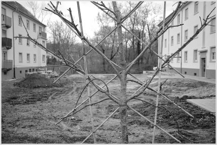 Untermühlaufstraße (auf dem Weg nach Hause in die Oststadt)
