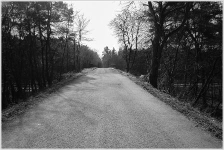 Viernheimer Heide , Brücke über die A6 (Alte Mannheimer Poststraße)