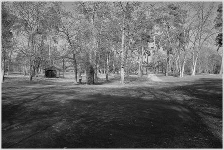 Golfplatz Mannheim Viernheim