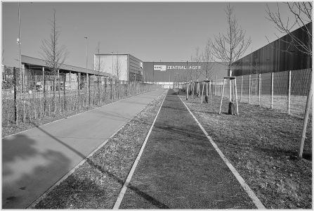 Roßlauerweg, Vogelstang