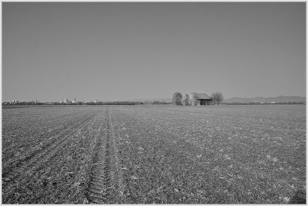 Straßenheimer Weg (Dosengewann)
